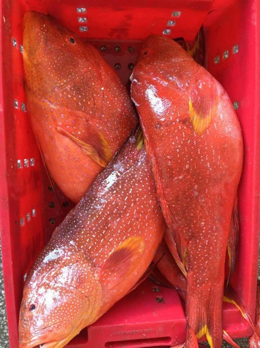 https://dragon-vietnam.com/3-3-cmcm