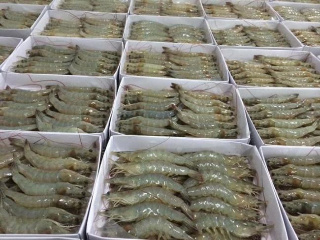 https://dragon-vietnam.com/90775a03325951353adbf81a96dc2bc9