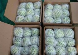 https://dragon-vietnam.com/IMG_6041