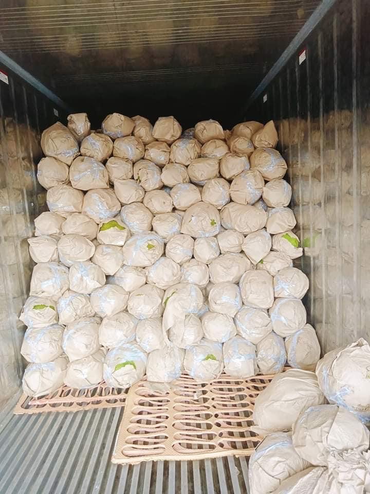 https://dragon-vietnam.com/IMG_6118