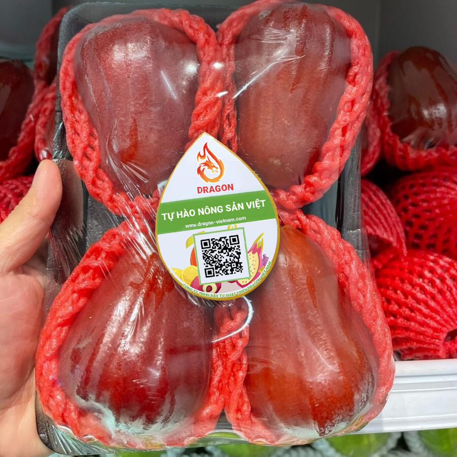https://dragon-vietnam.com/b2fea7c76c6eb4d4c8f47098c7a91707