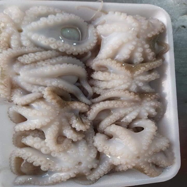 https://dragon-vietnam.com/bach-tuoc-sua-1