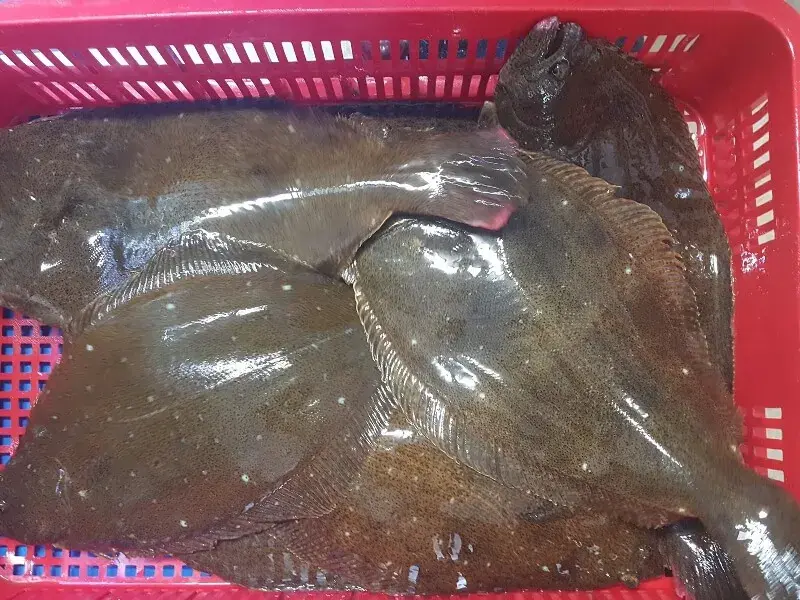 https://dragon-vietnam.com/ca-bon-nau-den-han-quoc-02
