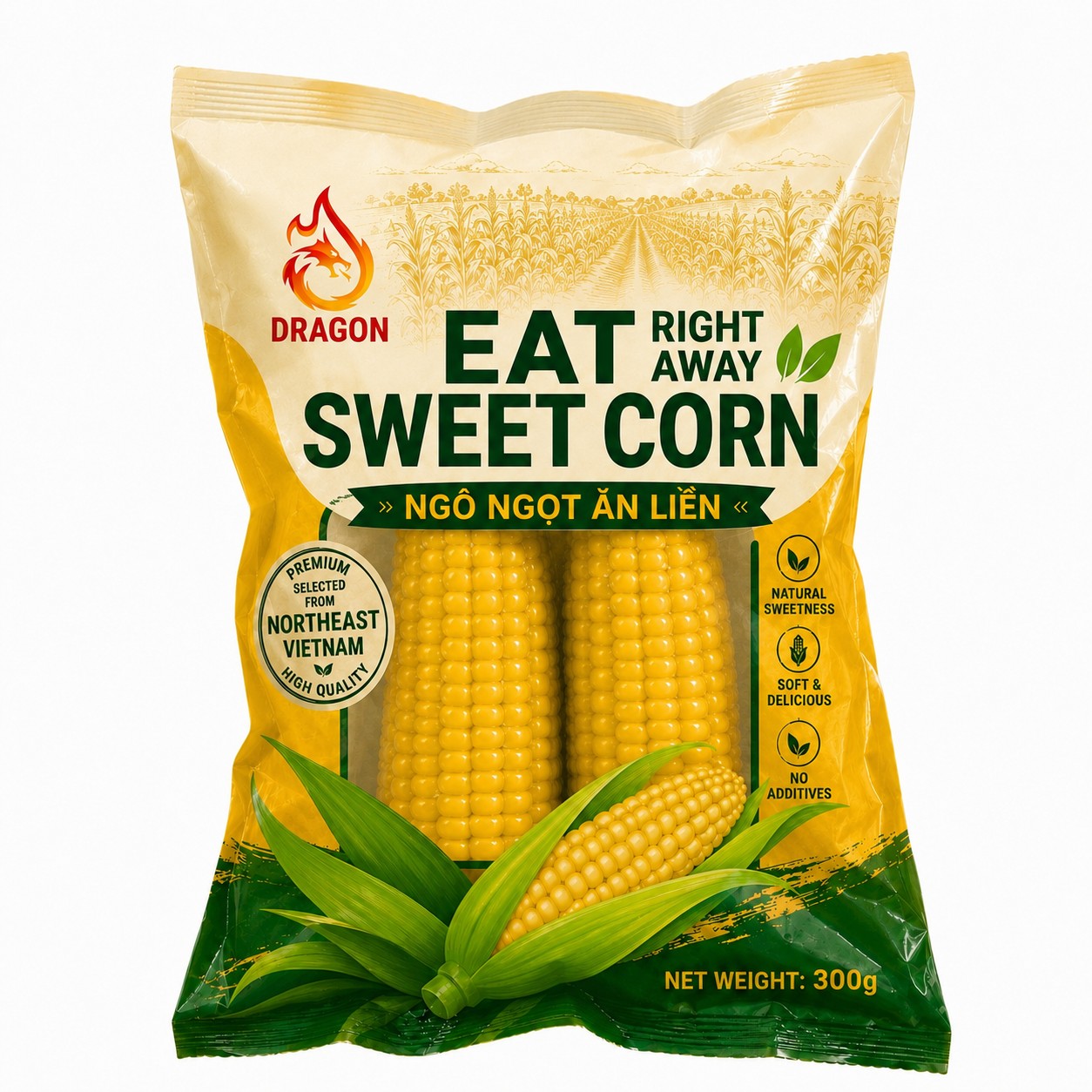 https://dragon-vietnam.com/file_00000000291c720b8cd96a25c9375f49