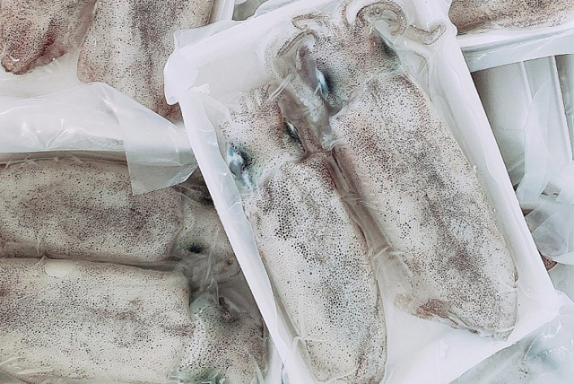 https://dragon-vietnam.com/xuat-khau-muc